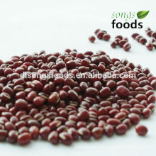 China little beans, small dark red beans